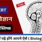 तंत्रिका तंत्र | Nervous system in hindi