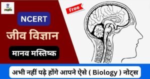 तंत्रिका तंत्र | Nervous system in hindi